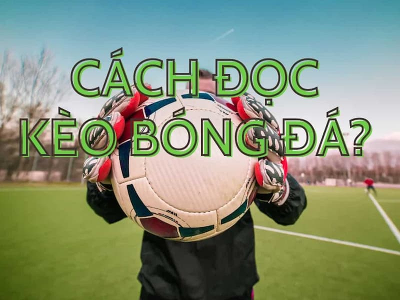 Đọc kèo bóng đá chia thành kèo châu Á, châu Âu và kèo tài xỉu